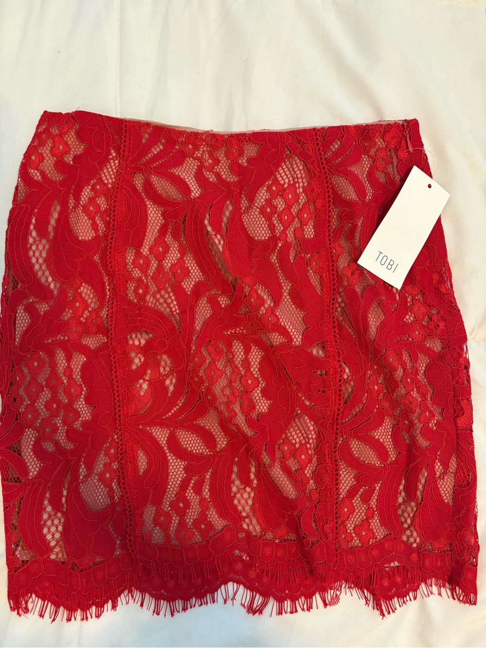 Tobi Red Floral Lace Mini Skirt